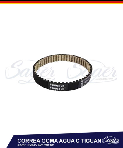 CORREA BOMBA AGUA C TIGUAN 2.0 A4 1.8 Q5 2.O CDH / 4036499